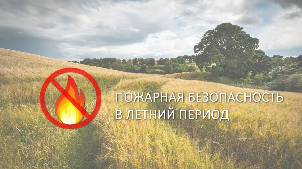 ПОЖАРНАЯ БЕЗОПАСНОСТЬ ЛЕТОМ..