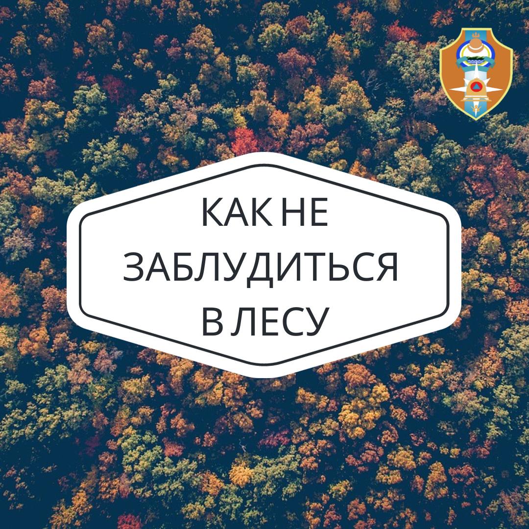 Как не заблудиться в лесу.