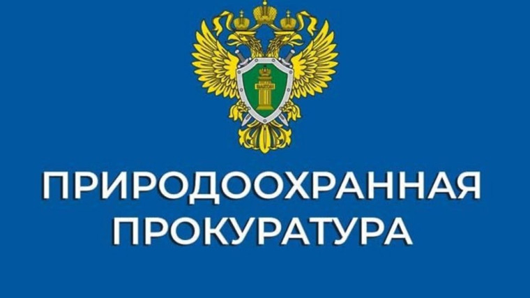 Уголовное дело о незаконном обороте особо ценных диких животных, возбужденное по материалам Западно-Байкальской межрайонной природоохранной прокуратуры, направлено в суд. Уголовное дело о незаконном обороте особо ценных диких животных, возбужденное по материалам Западно-Байкальской межрайонной природоохранной прокуратуры, направлено в суд.