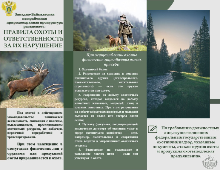 правила охоты. правила охоты.