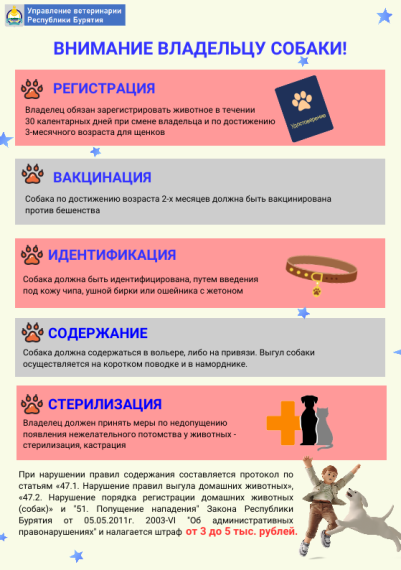 Памятка владельцам домашних животных. Памятка владельцам домашних животных.