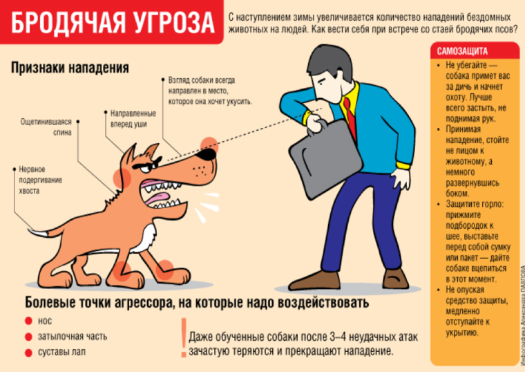 Бродячая угроза. Бродячая угроза.